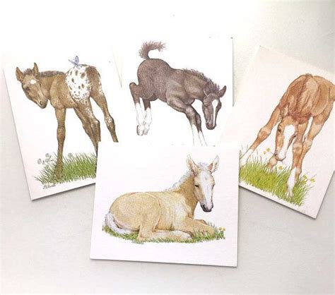 Horses Card Set .